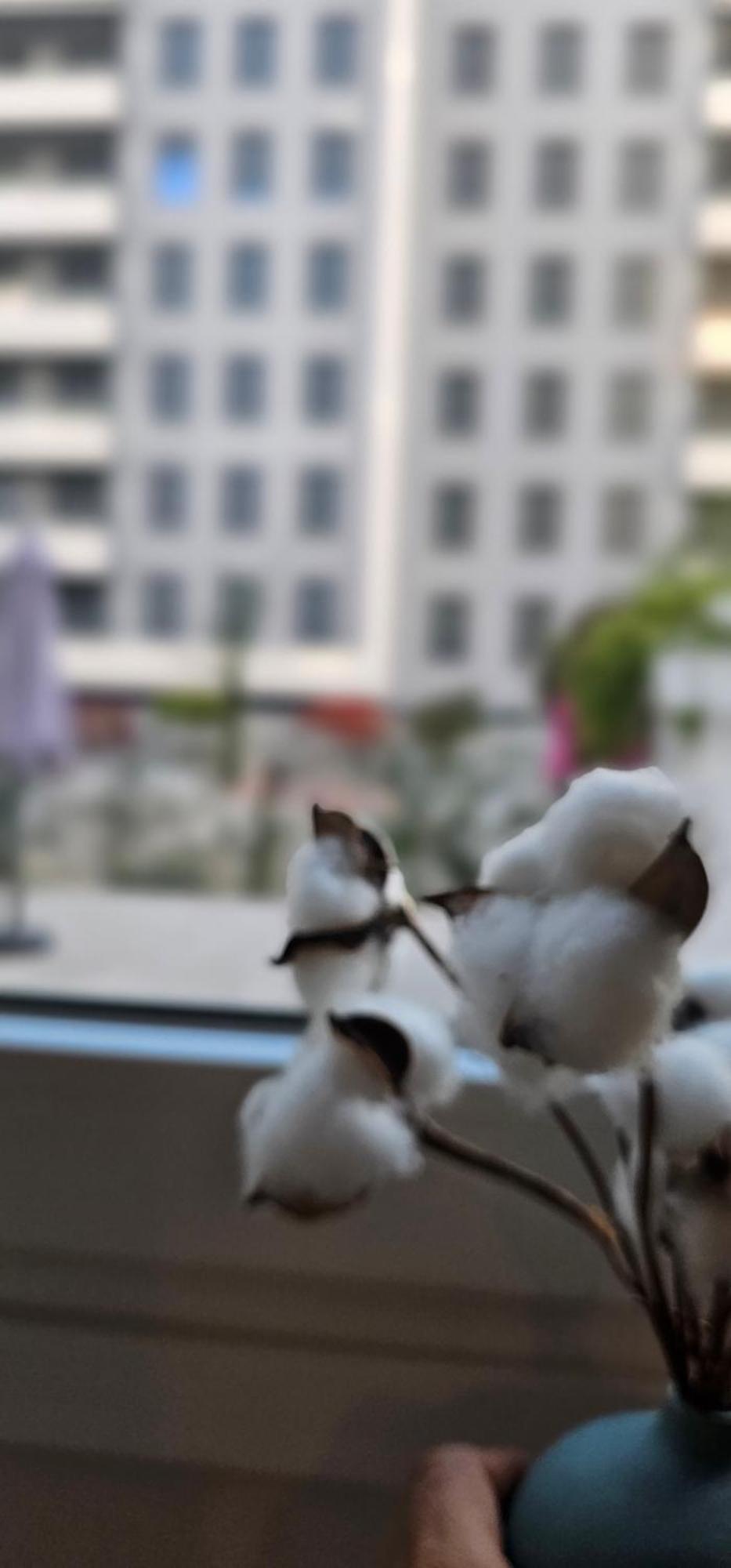 Albayda Garden Apartment Granada Ngoại thất bức ảnh
